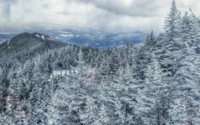Winter Storage Tips for Your Trailer